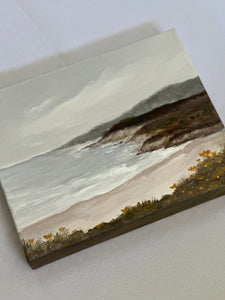 Coastal Views III - Original 10" x 8" acrylic on canvas (free shipping included)