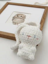 Load image into Gallery viewer, Baby Owl - New Baby Gift Box - G2