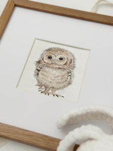 Baby Owl - New Baby Gift Box - G2